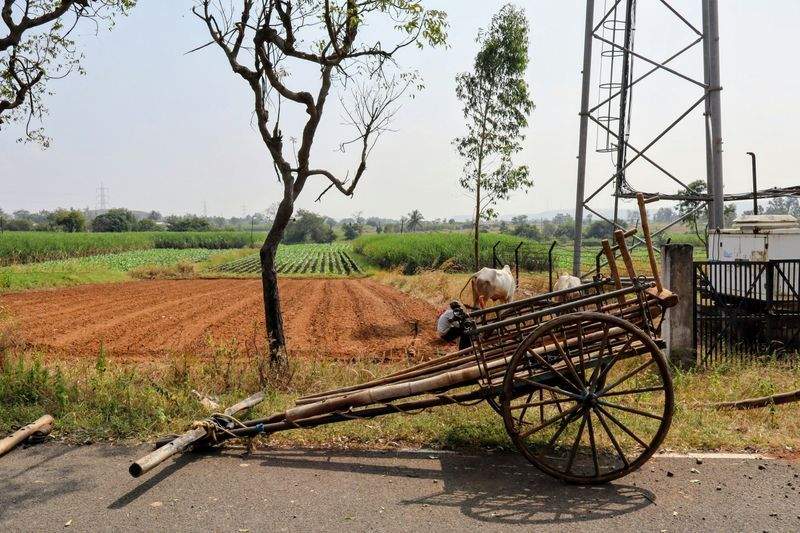 AgroSierra Rural Servicios 8